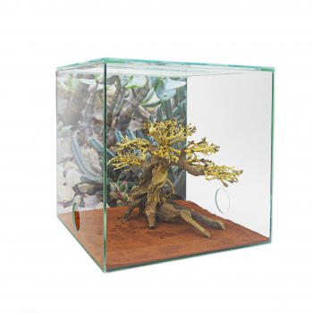 Bonsai-Tree